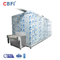 Quick Freezing Machine Tunnel Blast Freezer For Fruits Cherry Chicke Vegetables Seafood Shrimp Fish