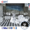 CBFI Freon 30 Ton Solid Flat Cut Ends Ice Tube Maker Machine Fully Automatic