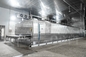 Fish Fillet IQF Continous Individual Fast Freezing Machine Food Quick Tunnel Equipment