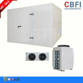 Hotel Supermarket Commercial Blast Chiller With LG Electrical Components