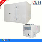 R22 / R404A / R134A Refrigerant Commercial Blast Freezer Fresh Keeping