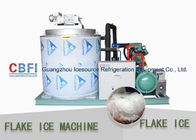 CBFI Containerized 10 ton/Day Flake Ice Machine Air Cooling / Water Cooling