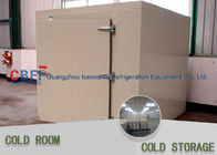 Air / Water Condenser Cold Room And Freezer Room For Meat Vegetable Storage 