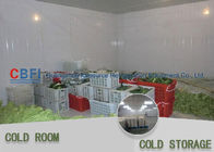 50mm - 200mm Thickness Commercial Freezer Room , Cold Room Chiller With Imported Compressor