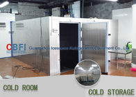 100mm 120mm 150mm 200mm Freezer Cold Room Low Electric Power Consumption