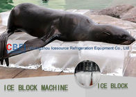 Philippines Block Ice Maker 5.2 Ton / 24 Hrs Industrial Ice Block Making Machine