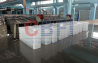 1 ton To 100 tons Per Day Block Ice Maker / Ice Block Making Business
