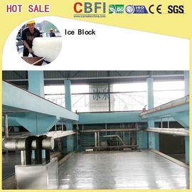 5 Kg 10 Kg 20 Kg 50 Kg Ice Cans Ice Block Making Machine Energy Saving