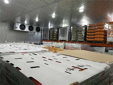 R404a Food Storage Large Freezer Cold Room 5000 Tons Meat Cold Storage Room