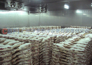 1000 Tons R507 R404a Large Freezer Cold Room For Meat Fish Chickens