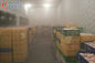 -25 Degree Commercial Blast Freezer Cold Storage With Customized Room Size