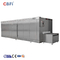 Factory Customized Quick IQF Blast Tunnel Freezer Food Processing Equipment Made In China