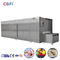 Automatic Industrial Mesh Belt IQF Tunnel Freezer For Shrimp Meat French Fries Tunnel Blast Chiller