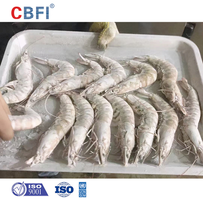 Efficient Brine And Quick Tunnel Freezer Machine For Shrimp Freezing