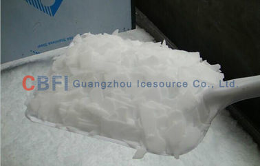 Customized 10 Tons Flake Ice Machine CBFI Compressor R507 Refrigerant