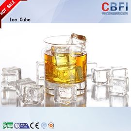 304 Stainless Steel Industrial Ice Cube Making Machine R507 Refrigerant