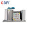 Supermarkets Ice Flake Maker , Industrial Ice Maker Machine With Stainless Steel 304